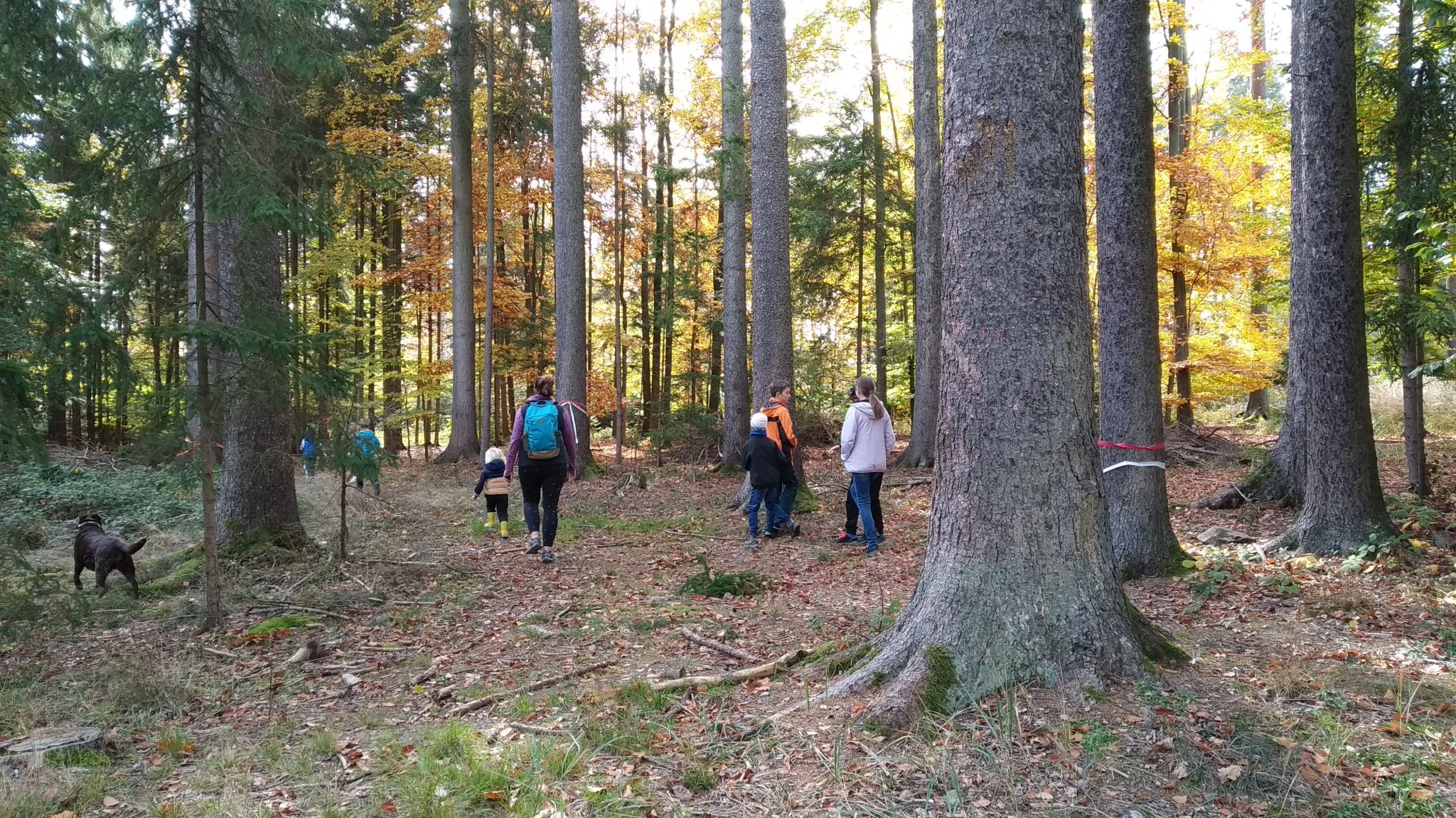 Návštěvníci hrají hru na loupežníky. 