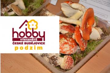 Poradna pro houbaře v rámci HOBBY PODZIM 2014