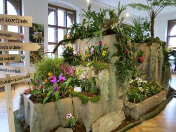 Výstava orchidejí, bromelií a jiných exotických rostlin a hmyzu