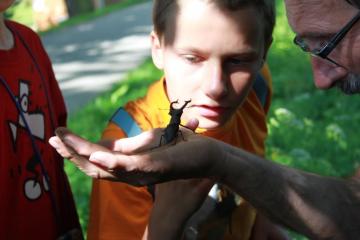 Vycházka s entomologem do alejí v okolí Hluboké nad Vltavou