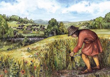 Zemědělství a strava na přelomu 14. a 15. století