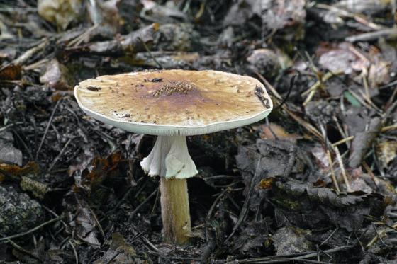 foto: J. Souček