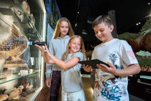 Účastníci edukačního programu přírodověda při používání elektronické lupy.