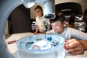 Účastníci edukačního programu geologie zkoumají nerosty a minerály pod mikroskopem.